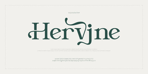 Hervine elegant font alphabet uppercase lowercase and number. Classic lettering minimal fashion designs. Typography modern serif fonts regular decorative vintage concept. Vector illustration
