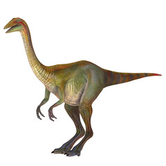 Realistic ornithomimus dinosaur illustration