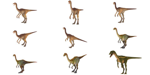 Illustration of various theropod dinosaurs
