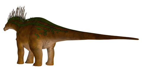 Realistic spiked dinosaur on white background © Ilie