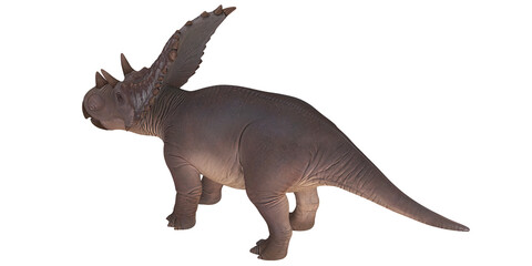 Fototapeta premium Majestic dinosaur with distinctive frill and horns