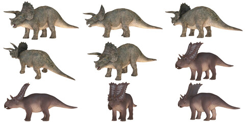 Various triceratops in different poses © Ilie