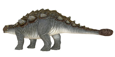 Fototapeta premium Realistic dinosaur model of Ankylosaurus.
