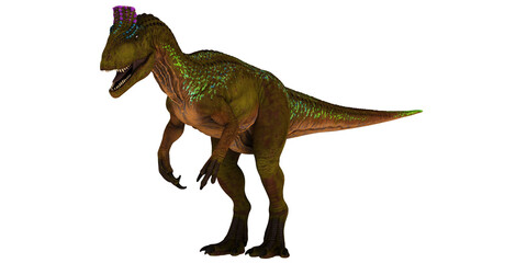 Colorful dinosaur standing against a white background.