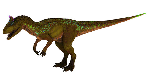 Colorful Tyrannosaurus rex on white background