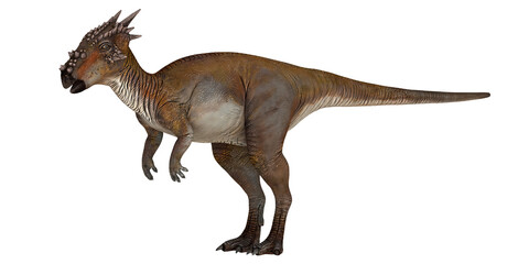 Illustration of a pachycephalosaurus dinosaur.