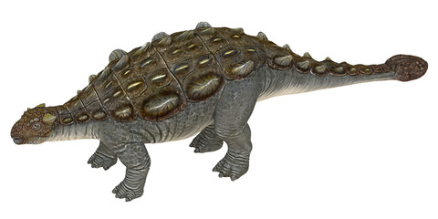Ankylosaurus in a paleontological illustration.