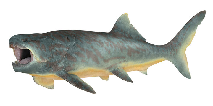 Realistic depiction of a prehistoric Dunkleosteus fish.