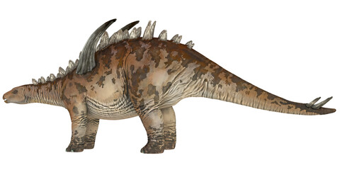 Fototapeta premium Illustration of a Stegosaurus dinosaur in profile view.