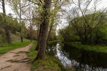 Hiking trail following calm river in ucero, spain, surrounded by lush green vegetation