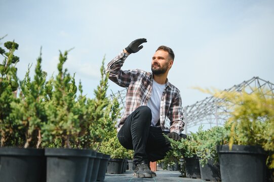 Male employee of garden shopping center inspects product. Department with potted plants, is preparing to advise clients