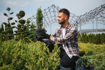 Young male salesman holding pot of thuja in flower shop
