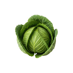 Obraz premium Whole Green Cabbage Isolated on White Background – Fesh Organic Vegetable for Healthy Diet and Recipes