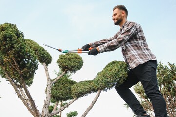 A young gardener cuts a tree with scissors. Gardening and tree shop concept