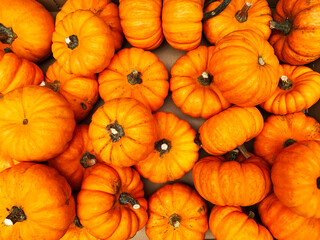 Many Ripe Orange Pumpkins for Sale