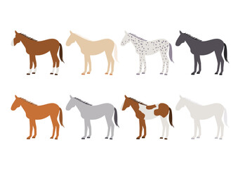 馬の品種のベクターイラストセット