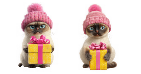 Two adorable siamese cats wearing pink hats and holding yellow gift boxes with pink ribbons isolated on transparent background