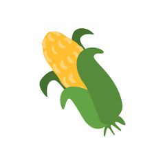 Sweet Corn on the Cob Fresh Harvest and Vegetarian Food