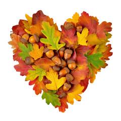Heart shape made of autumn leaves and hazelnuts