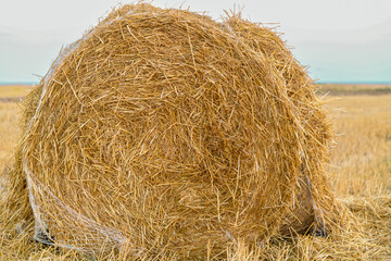 Round haystace close-up ready for removal from the field

