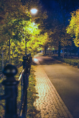 Evening street with a cobblest and a bike path near the trees