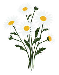 bouquet of flowers, Cute cartoon spring flower bouquet with red ribbon. Vector illustration of a bunch of colorful wildflowers. Isolated floral design element for Mothers Day, birthday.