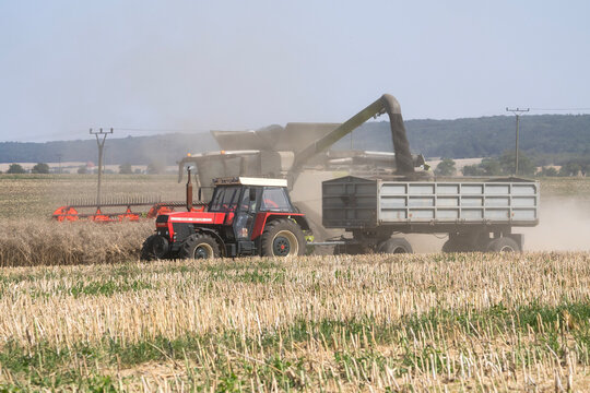 A Claas combine harvester unloading rapeseed seeds into a trailer pulled by a Zetor tractor in a field in the Czech Republic.
