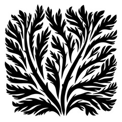 Abstract Black and White Leafy Plant Illustration on a White Background