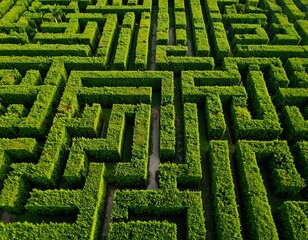 Aerial View Green Hedge Maze.