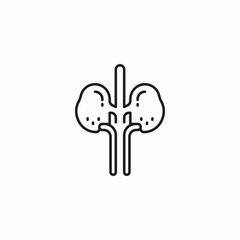human kidneys organ icon sign vector