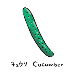 手描きのキュウリ2_名称入