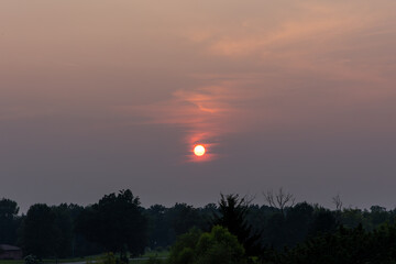 sunset in the forest