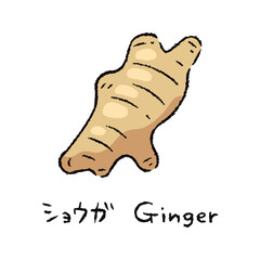 手描きのしょうが2_名称入