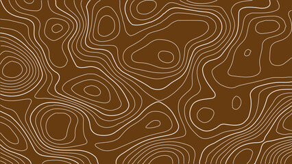 Seamless Topography Vector Pattern with Contour Terrain Lines, Explorer Grid Reliefs, and Smooth Elevation Textures in Abstract White Mapping Style