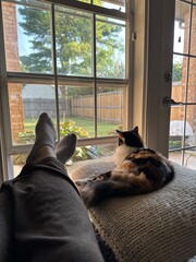 relax with feet up and cat  