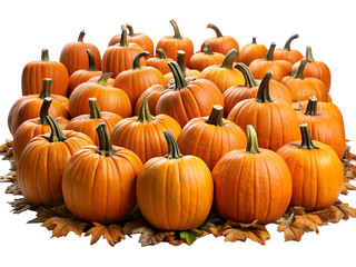 Obraz premium A large group of ripe orange pumpkins isolated on a transparent background, representing autumn harvest and seasonal decoration