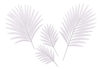 White palm leaves are creating a beautiful tropical vibe on a transparent background, perfect for summer projects