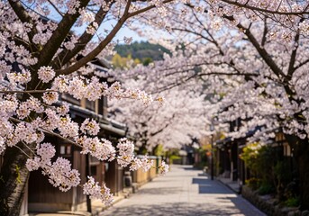 A street lined with traditional Japanese buildings is framed by blooming cherry blossom trees in full bloom, creating a picturesque spring scene.
