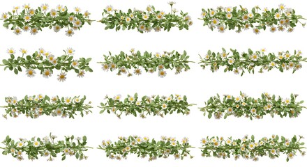 Floral border set illustrations designs elements