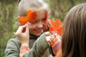Obraz premium Girls play with maple leaves, close each other's eyes with leaves in autumn