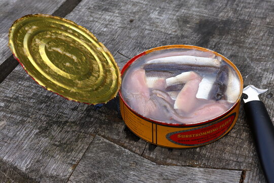 Sour herring with opened tin. Very smelly fermented fish called surstr&ouml;mming in Swedish. Eat outside.
