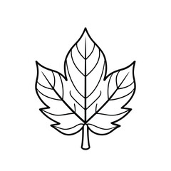 Minimalist Line Art of Five-Lobed Leaf with Veins – Black and White Botanical Nature Illustration