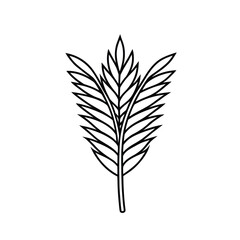 Fototapeta premium Minimalist Line Art of Stylized Frond Leaf – Black and White Botanical Nature Illustration