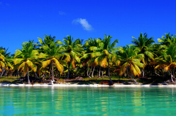 Perfect Tropical Coastline in the Caribbean