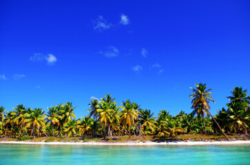 Perfect Tropical Coastline in the Caribbean
