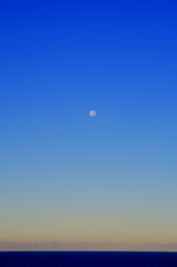 Moon in Daylight