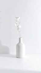 Minimalist white vase with dried plant