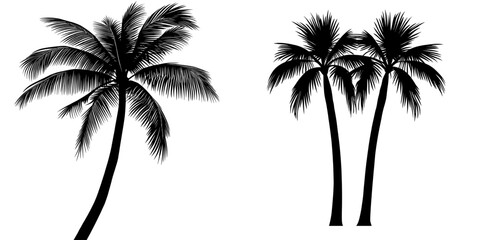 Palm Tree Icon is a simple black and white illustration of a palm tree, making it perfect for incorporation into design projects, websites, and mobile applications