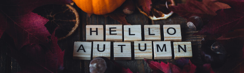 Hello autumn text on dark wooden background. Composition with bright autumn leaves, pumpkin, dry citrus, walnut. Cozy fall mood concept. Flat lay, close up, top view, macro banner