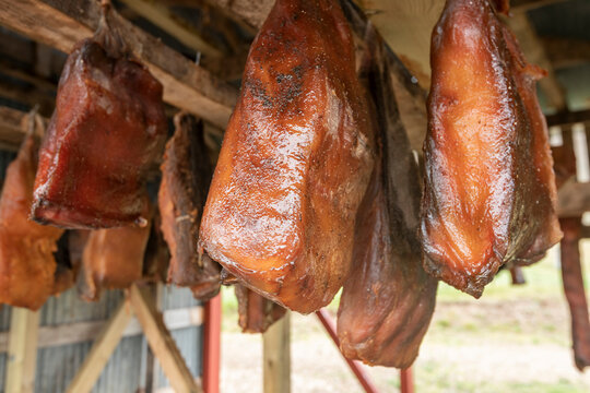 Curing Greenland shark meat called Hakarl
